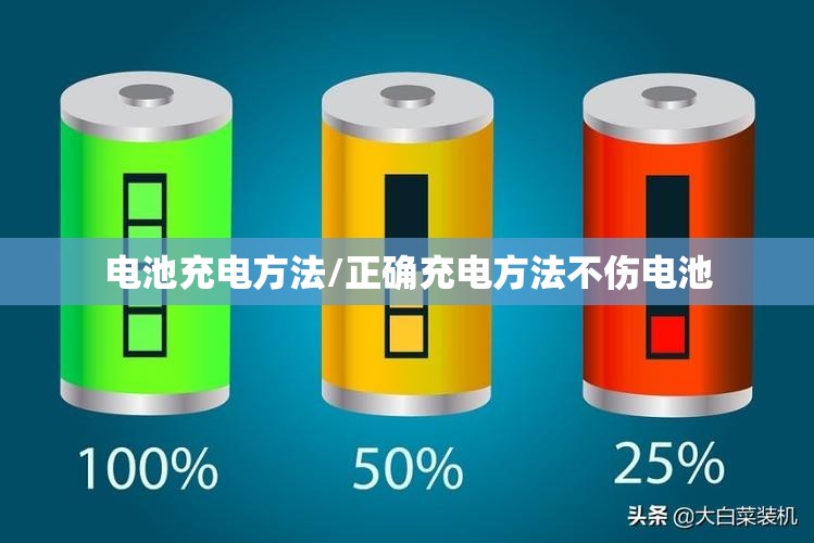 电池充电方法/正确充电方法不伤电池