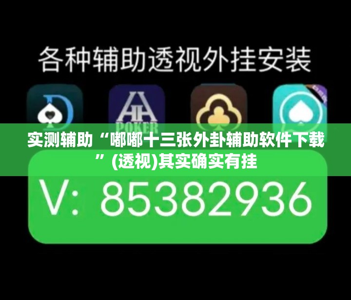 实测辅助“嘟嘟十三张外卦辅助软件下载	”(透视)其实确实有挂