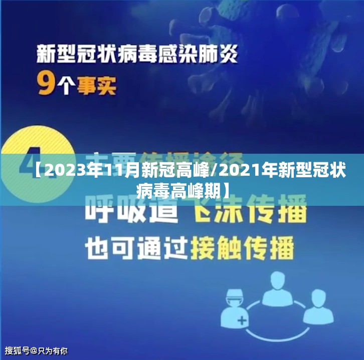 【2023年11月新冠高峰/2021年新型冠状病毒高峰期】