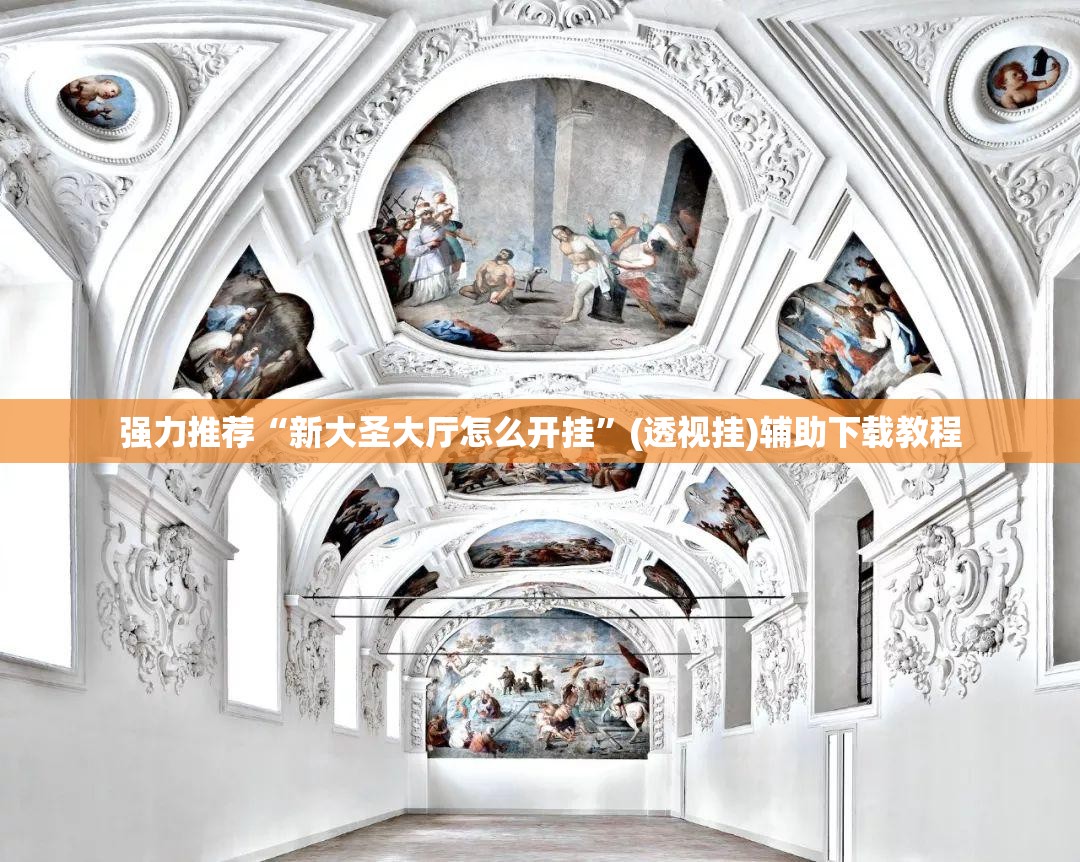 强力推荐“新大圣大厅怎么开挂”(透视挂)辅助下载教程