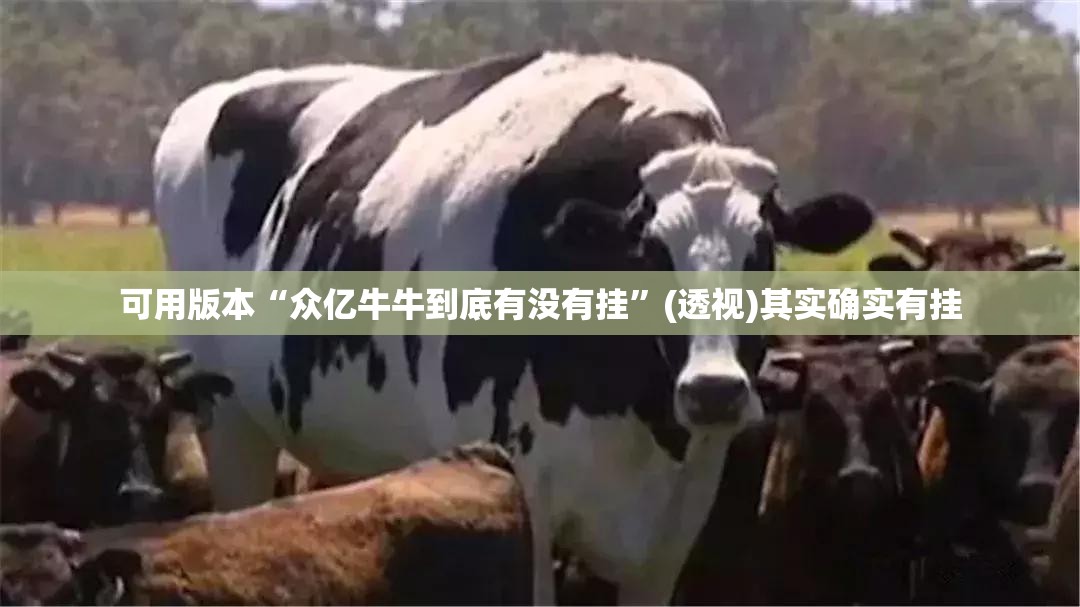 可用版本“众亿牛牛到底有没有挂”(透视)其实确实有挂