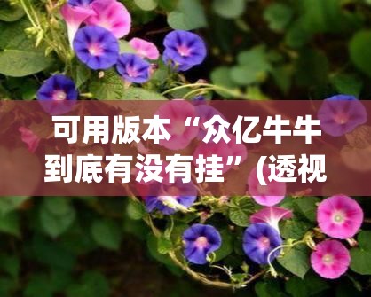 可用版本“众亿牛牛到底有没有挂”(透视)其实确实有挂