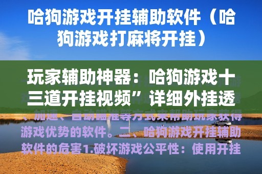 玩家辅助神器：哈狗游戏十三道开挂视频”详细外挂透视辅助软件教程