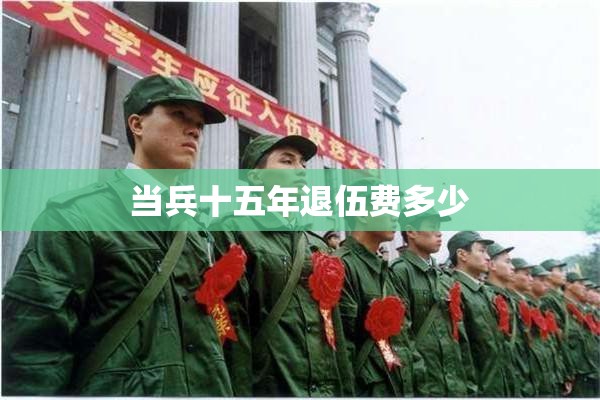 当兵十五年退伍费多少（当了十五年兵退伍费）