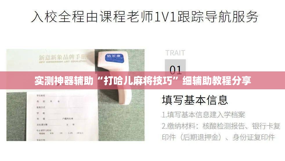 实测神器辅助“打哈儿麻将技巧”细辅助教程分享