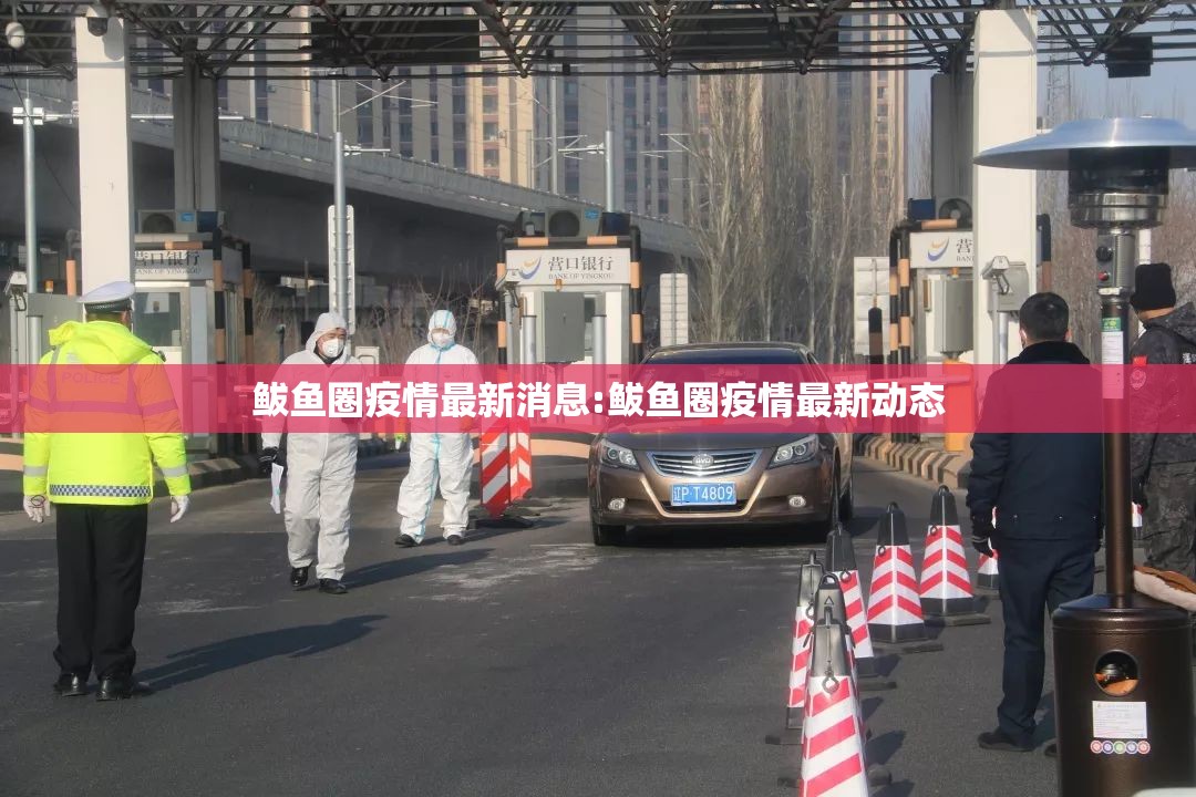 鲅鱼圈疫情最新消息:鲅鱼圈疫情最新动态