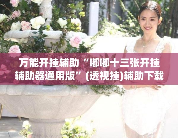 万能开挂辅助“嘟嘟十三张开挂辅助器通用版”(透视挂)辅助下载教程
