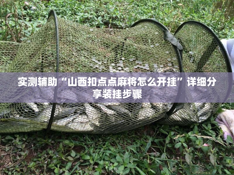 实测辅助“山西扣点点麻将怎么开挂	”详细分享装挂步骤