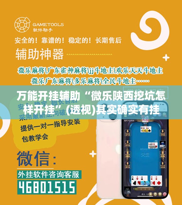 万能开挂辅助“微乐陕西挖坑怎样开挂”(透视)其实确实有挂