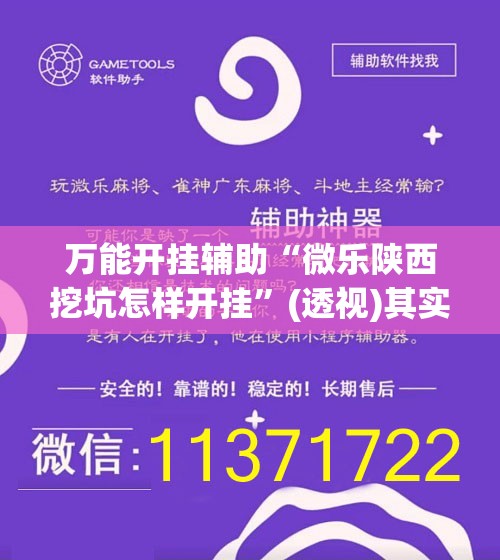 万能开挂辅助“微乐陕西挖坑怎样开挂	”(透视)其实确实有挂