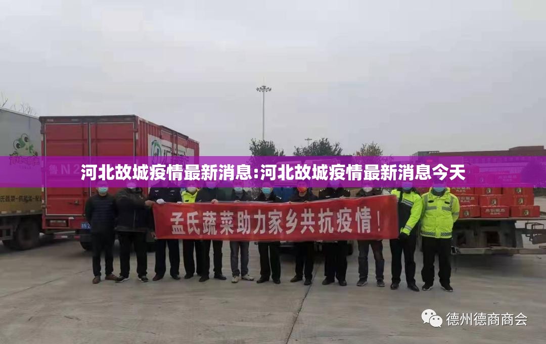 河北故城疫情最新消息:河北故城疫情最新消息今天