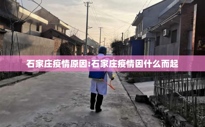 石家庄疫情原因:石家庄疫情因什么而起