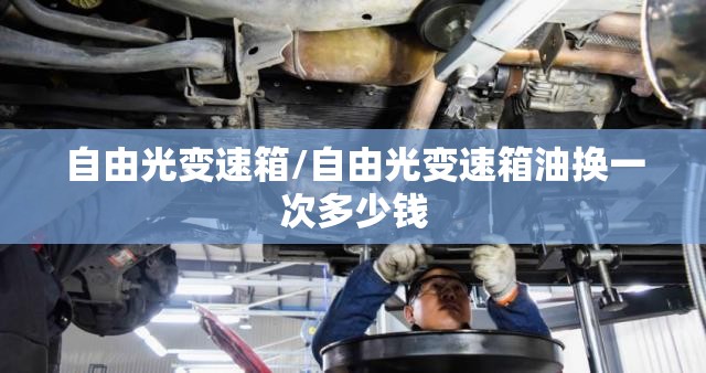 自由光变速箱/自由光变速箱油换一次多少钱