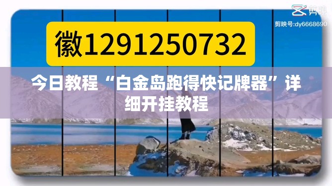 今日教程“白金岛跑得快记牌器”详细开挂教程