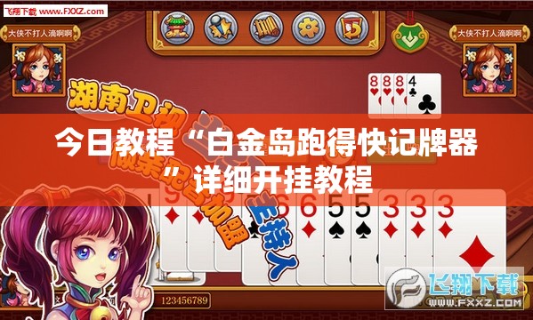 今日教程“白金岛跑得快记牌器”详细开挂教程
