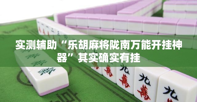 实测辅助“乐胡麻将陇南万能开挂神器”其实确实有挂