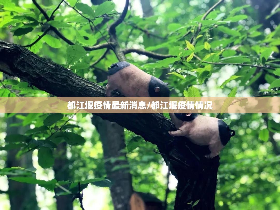 都江堰疫情最新消息/都江堰疫情情况