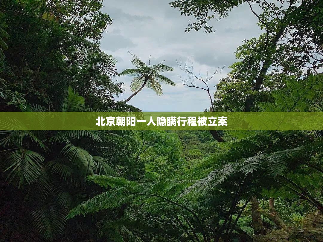 北京朝阳一人隐瞒行程被立案/北京隐瞒病情