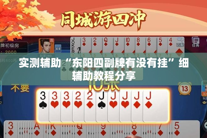 实测辅助“东阳四副牌有没有挂”细辅助教程分享