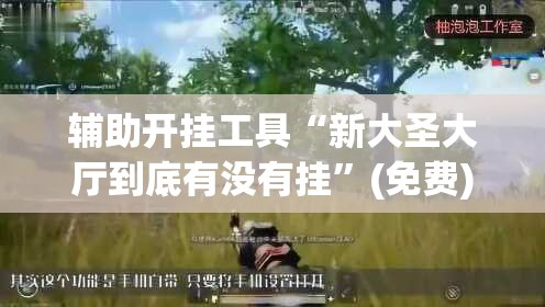 辅助开挂工具“新大圣大厅到底有没有挂”(免费)开挂辅助教学(最新辅助开挂教程)