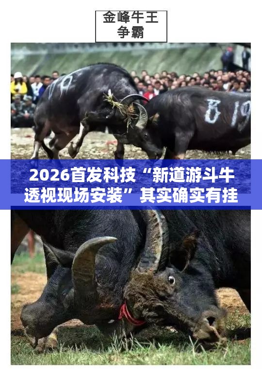 2026首发科技“新道游斗牛透视现场安装”其实确实有挂
