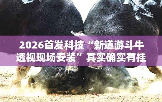 2026首发科技“新道游斗牛透视现场安装”其实确实有挂