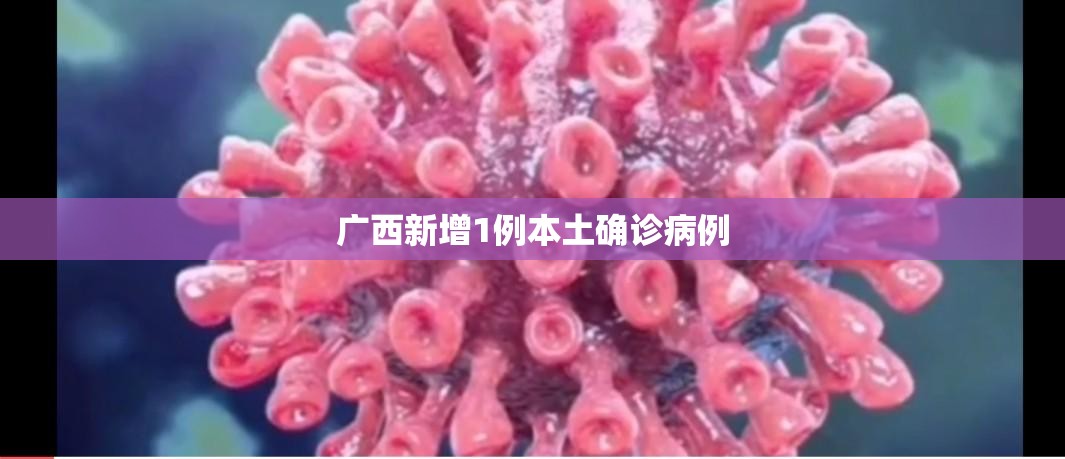 广西新增1例本土确诊病例/广西新增1例本土新冠肺炎