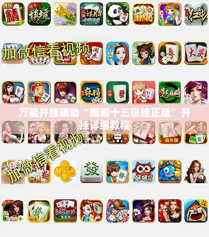 万能开挂辅助“嘟嘟十三张挂正版”开挂详细教程