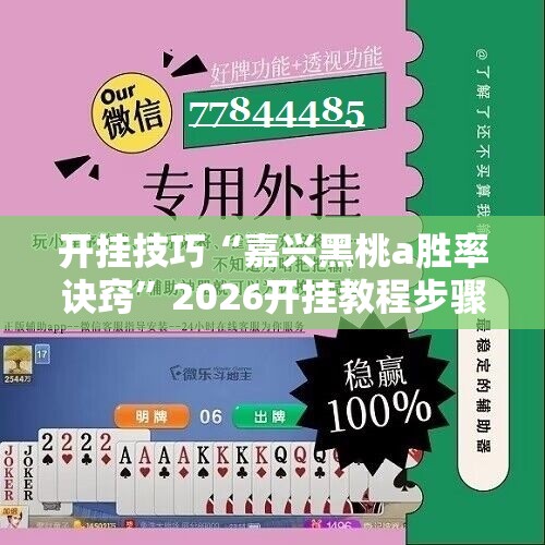 开挂技巧“嘉兴黑桃a胜率诀窍”2026开挂教程步骤