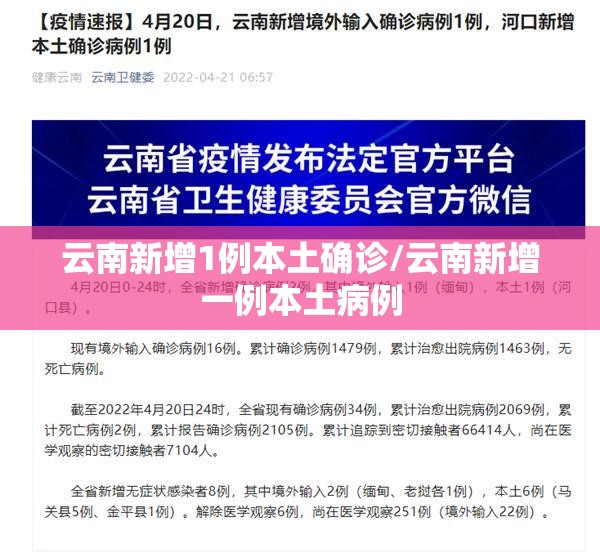 云南新增1例本土确诊/云南新增一例本土病例