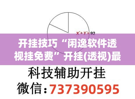 开挂技巧“闲逸软件透视挂免费”开挂(透视)最新辅助详细