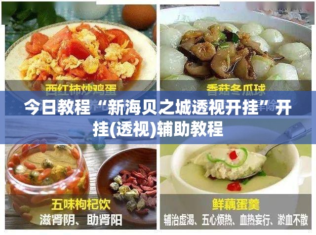 今日教程“新海贝之城透视开挂	”开挂(透视)辅助教程