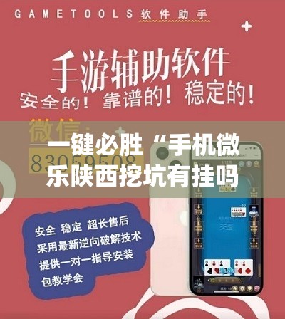一键必胜“手机微乐陕西挖坑有挂吗”(透视)其实确实有挂