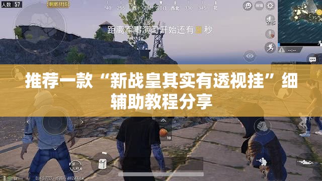 推荐一款“新战皇其实有透视挂”细辅助教程分享