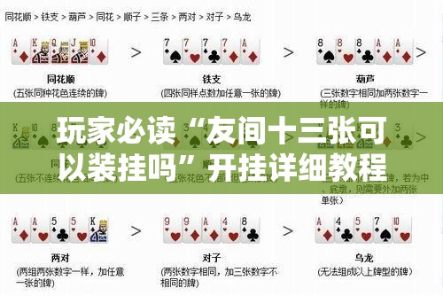 玩家必读“友间十三张可以装挂吗”开挂详细教程
