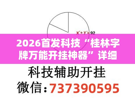 2026首发科技“桂林字牌万能开挂神器”详细开挂教程