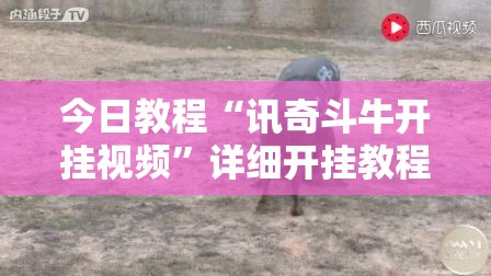 今日教程“讯奇斗牛开挂视频”详细开挂教程