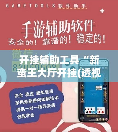 开挂辅助工具“新蛮王大厅开挂(透视)”开挂辅助脚本+详细开挂安装教程