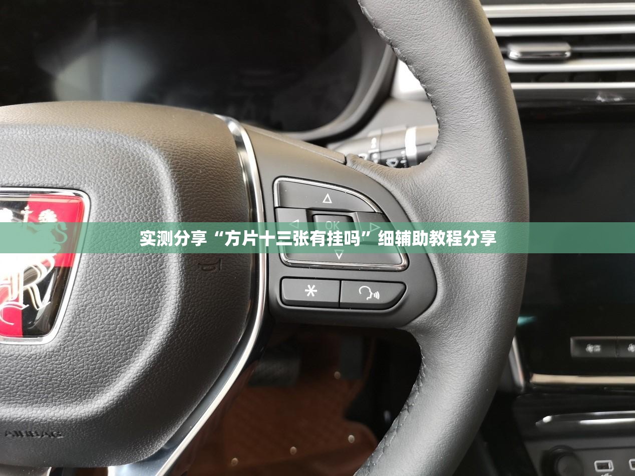 实测分享“方片十三张有挂吗	”细辅助教程分享