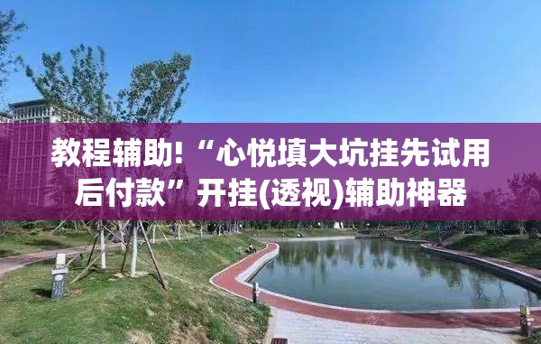 教程辅助!“心悦填大坑挂先试用后付款”开挂(透视)辅助神器