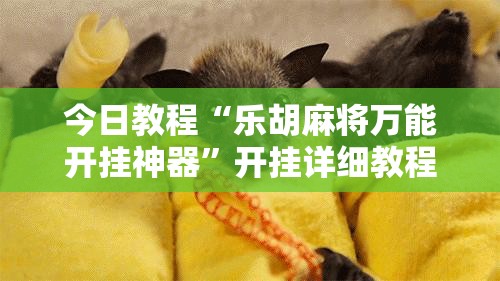 今日教程“乐胡麻将万能开挂神器”开挂详细教程