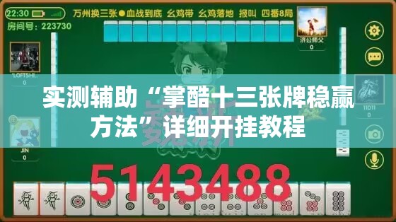 实测辅助“掌酷十三张牌稳赢方法”详细开挂教程