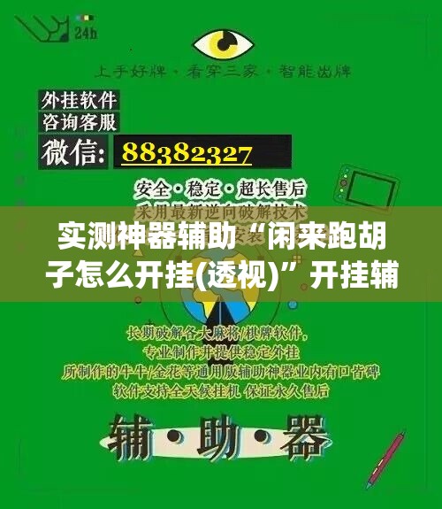 实测神器辅助“闲来跑胡子怎么开挂(透视)”开挂辅助脚本+详细开挂安装教程