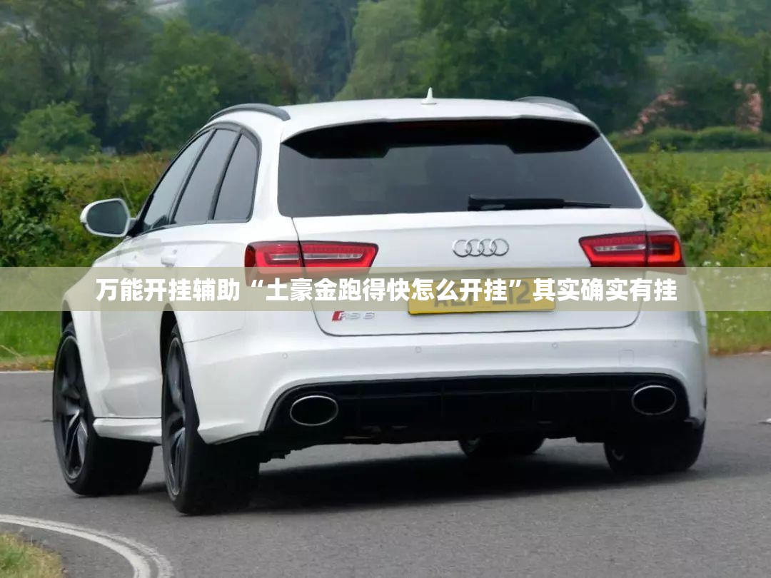 万能开挂辅助“土豪金跑得快怎么开挂”其实确实有挂