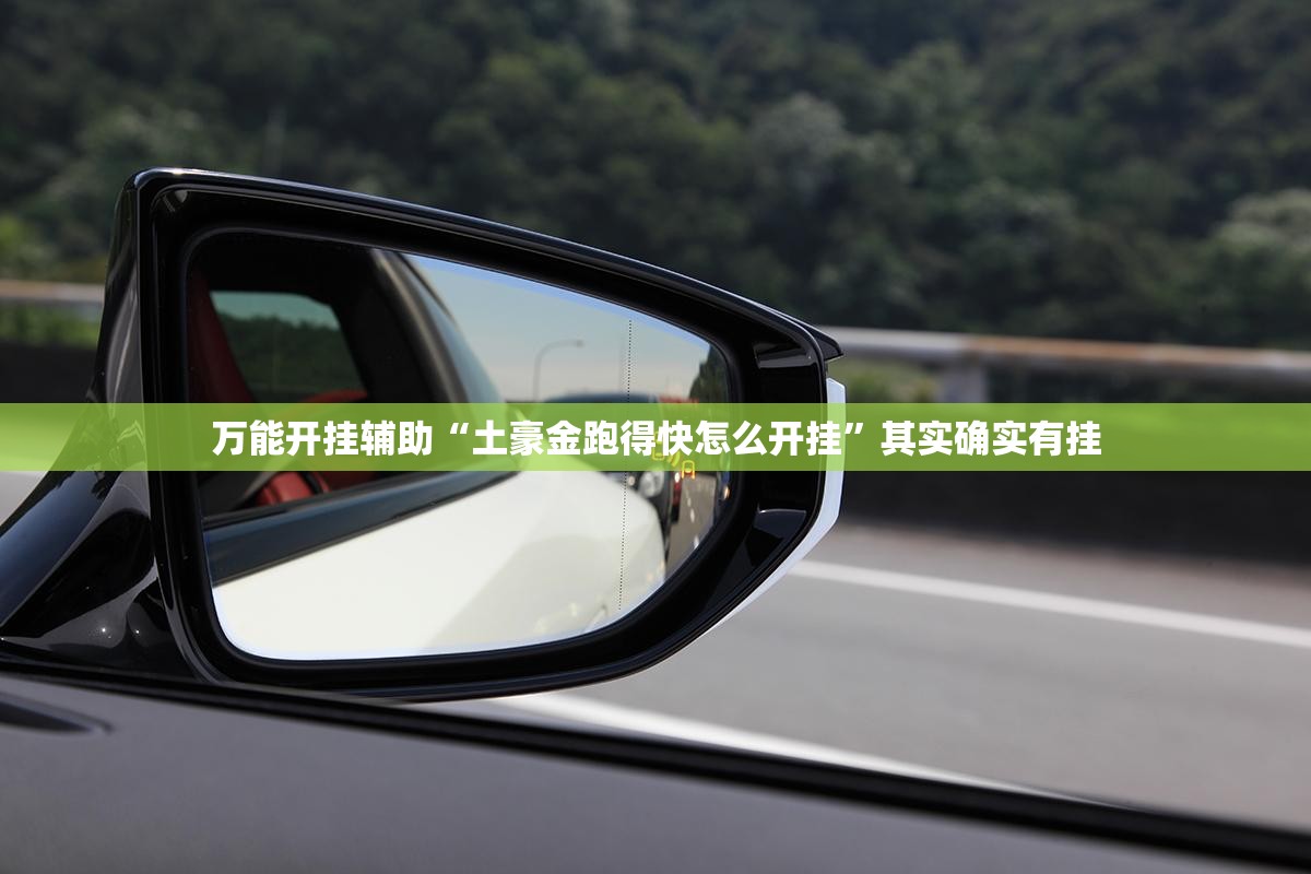 万能开挂辅助“土豪金跑得快怎么开挂”其实确实有挂