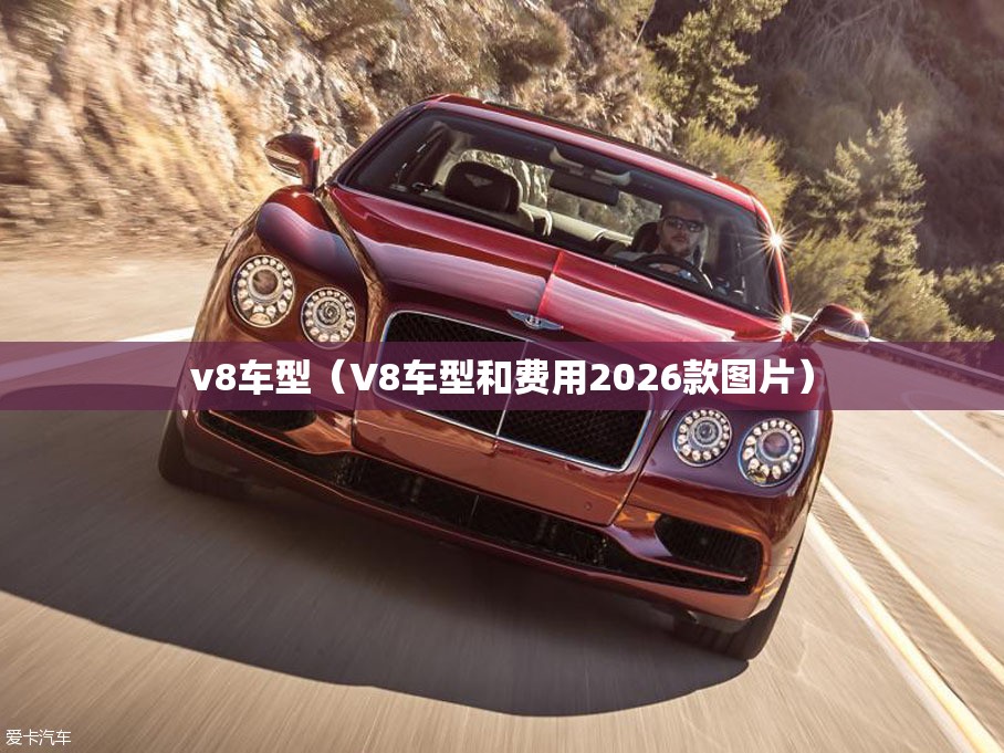 v8车型（V8车型和费用2026款图片）