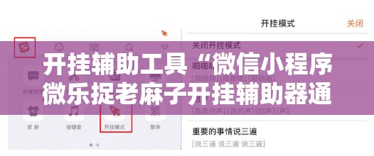 开挂辅助工具“微信小程序微乐捉老麻子开挂辅助器通用版	”详细开挂教程