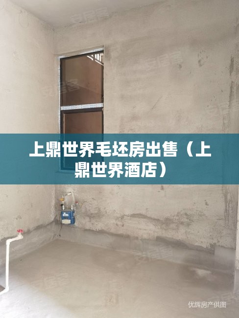 上鼎世界毛坯房出售(上鼎世界酒店) 上鼎世界毛坯房出售(上鼎世界酒店)