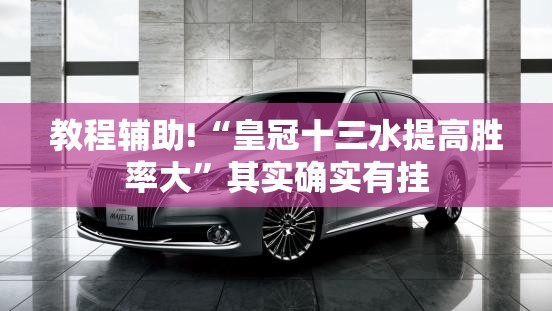 教程辅助!“皇冠十三水提高胜率大	”其实确实有挂