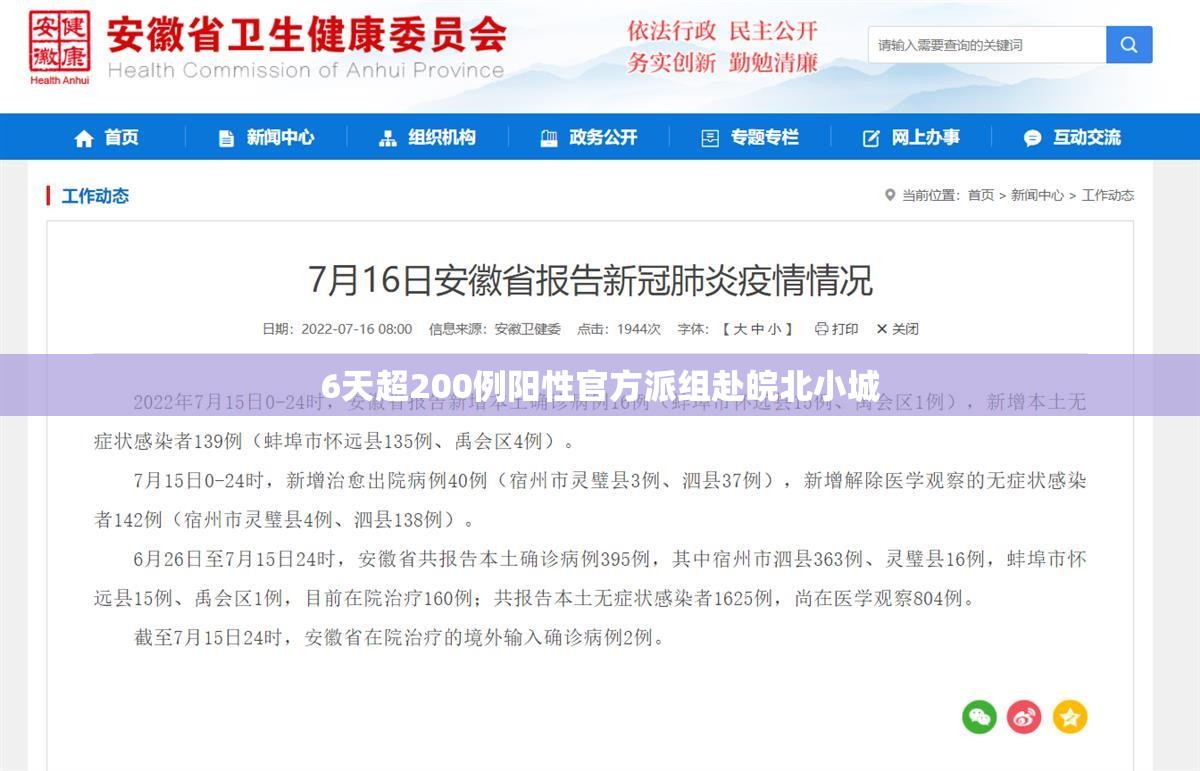 6天超200例阳性官方派组赴皖北小城:皖北疫情
